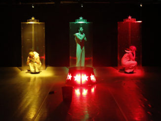 circo delle stelle